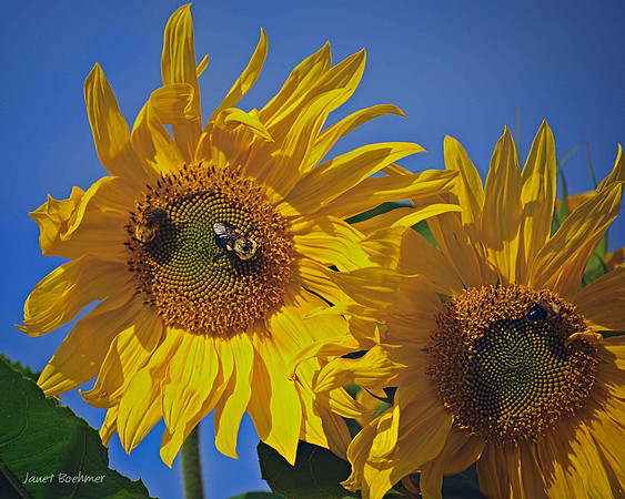 2009 10 07 JMB_1994_edited-1