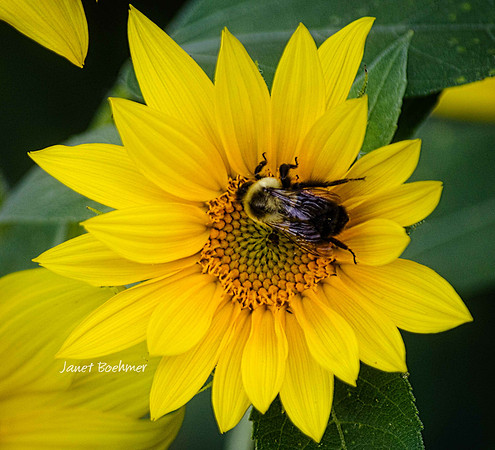 2012 09 02_0159_edited-3