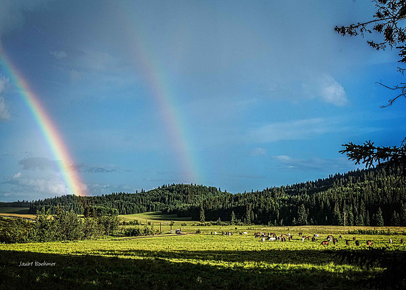 Rainbow 35