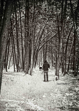 Walking Dogs 3386