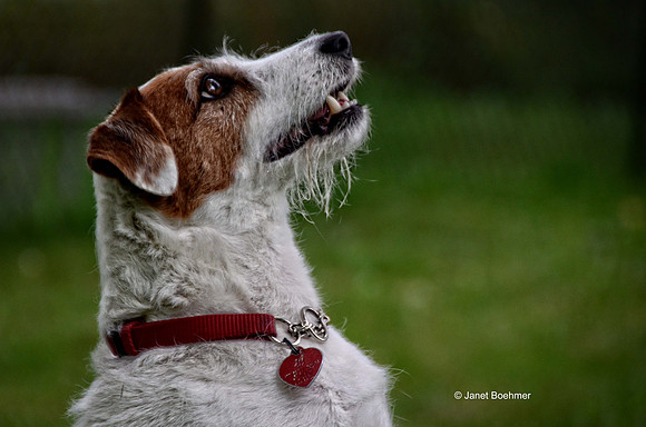 Molly 3943