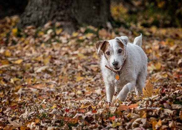 Molly 0529