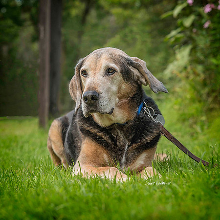 Jake 5249