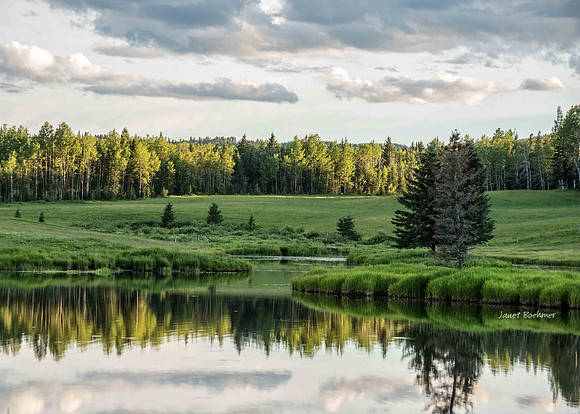 Bragg Creek-2